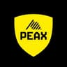 PEAX AG